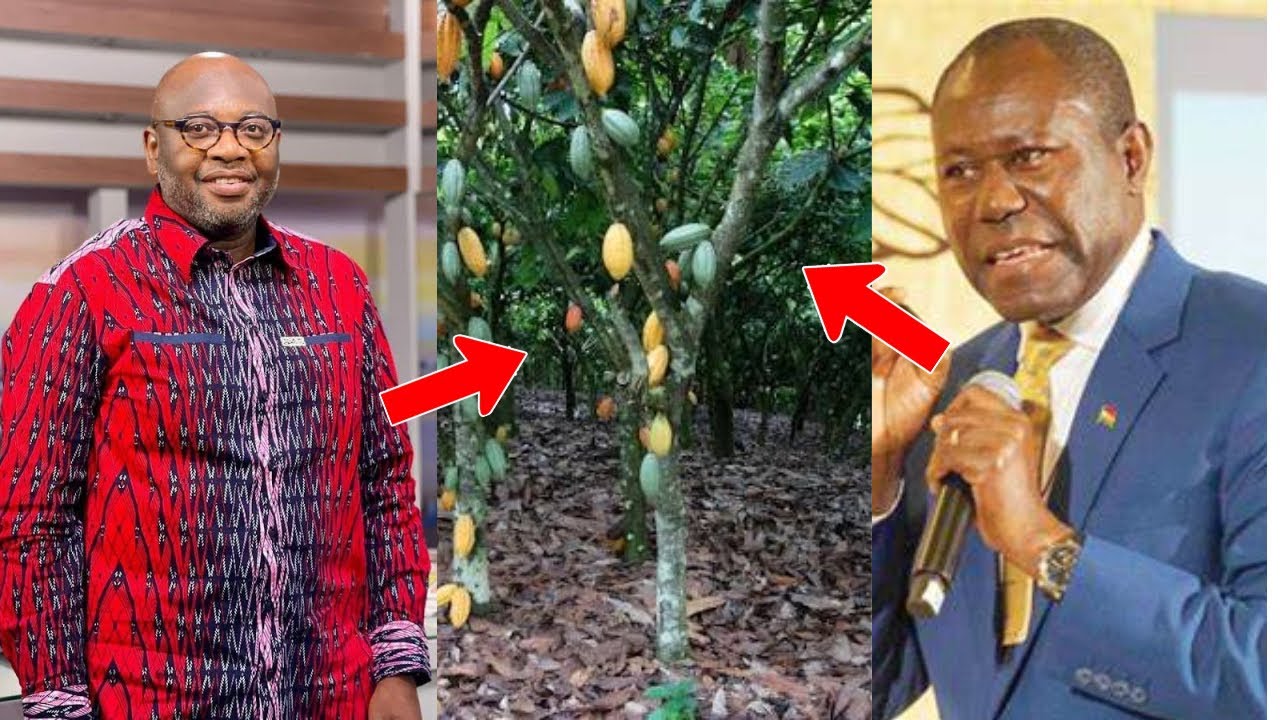 We inherited over GHS 30bn debt!😱Cocobod CEO drops bombshell on why cocoa farmers remain unpaid😳🔥