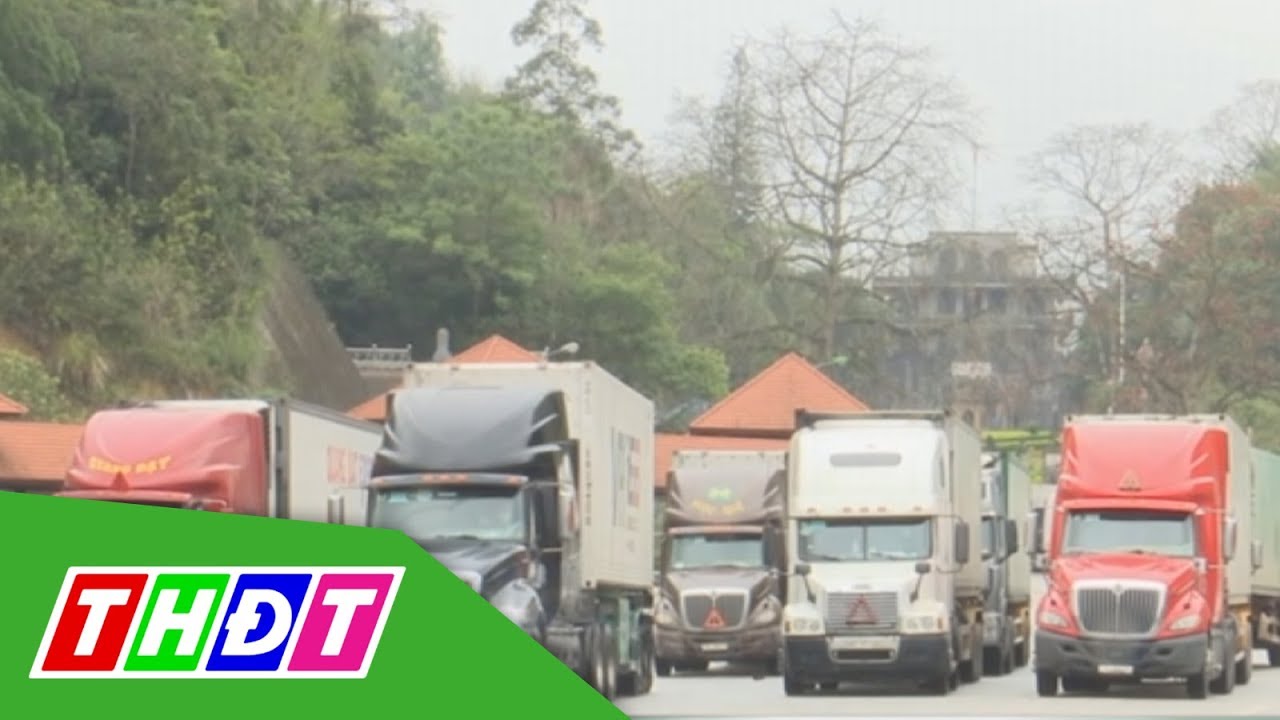 Lạng Sơn: Xử lý hành vi nâng giá vận chuyển nông sản | THDT