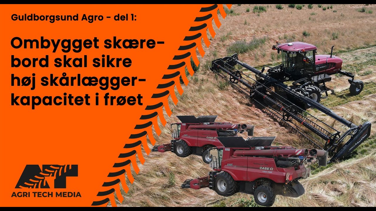 🇩🇰 Guldborgsund Agro - del 1: Ombygget skærebord skal sikre høj skårlægger kapacitet i frøet.