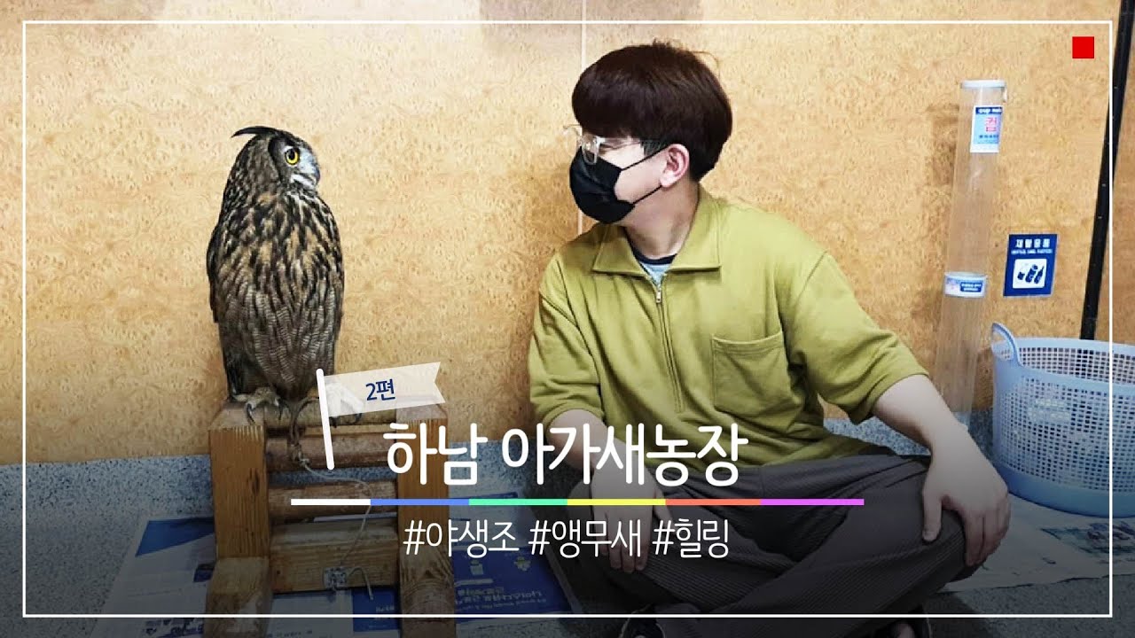 코앞에서 야생조를..? 앵무새와 야생조들의 천국 경기도 하남 '아가새농장' 방문기 2탄