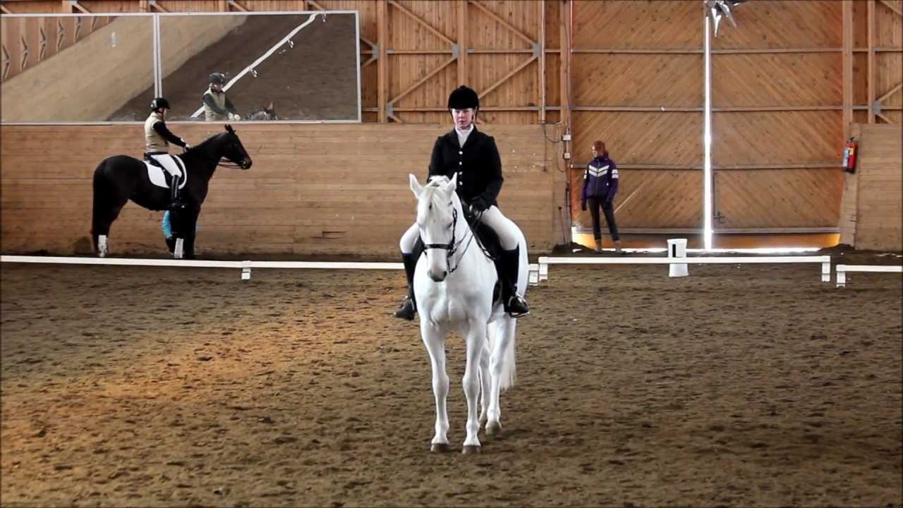 Helppo A:1 2009