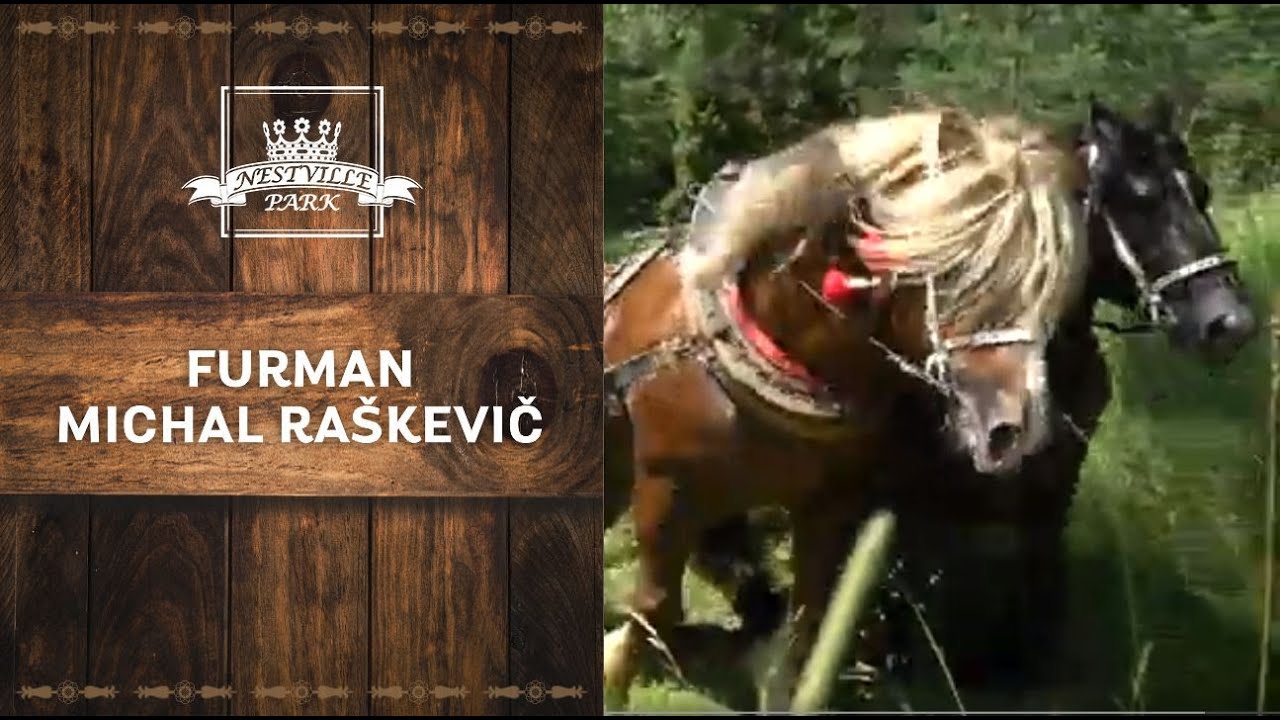 FURMAN MICHAL RAŠKEVIČ
