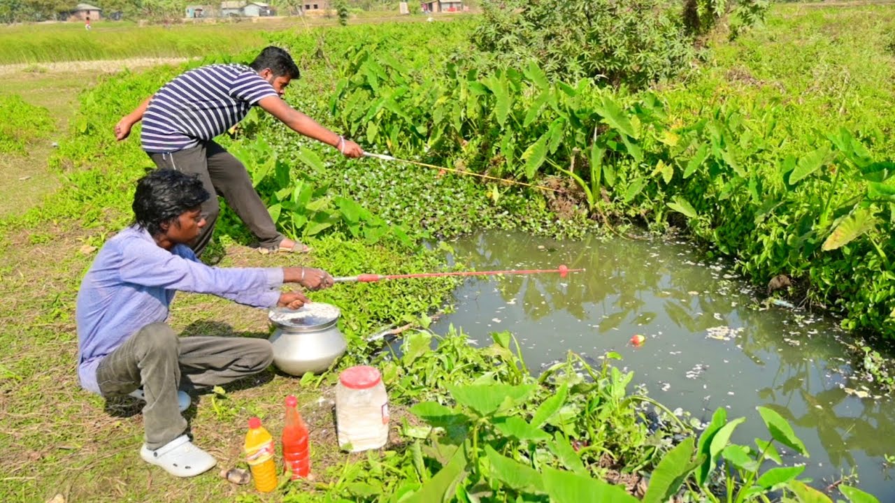 Fishing Video || I was Amazed by the Fishing Skills of the Traditional boys || Amazing Hook Fishing