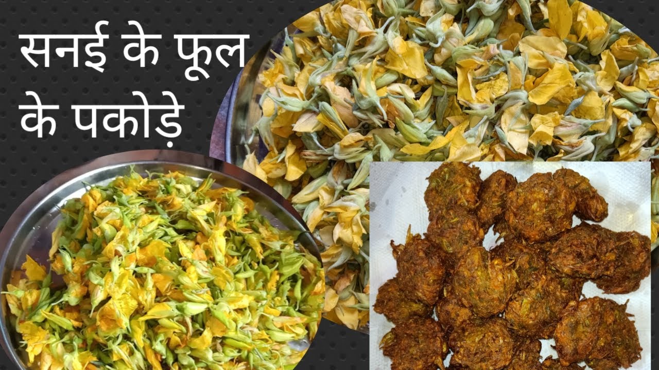 सनई के फूल के पकोड़े एक बार बना कर खा लिए तो बार बार खाने को मान करेगा | SANAI KE PHOOL KE PAKODE