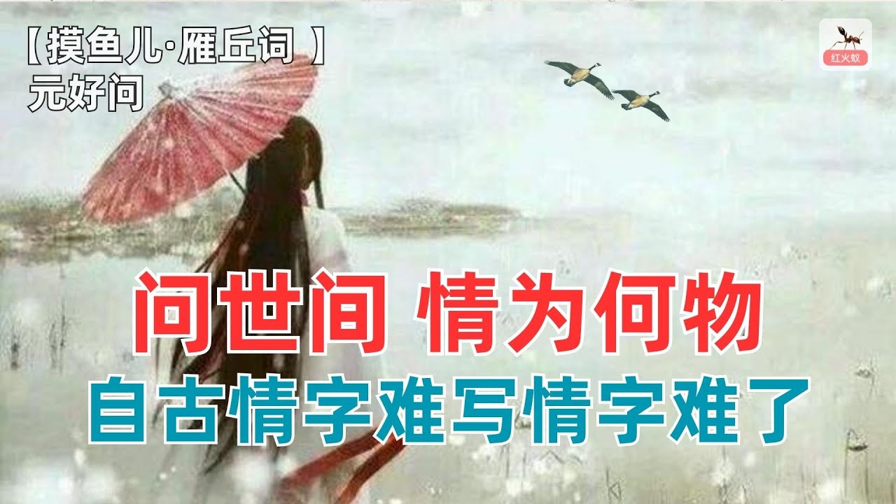 问世间情为何物？情为何物有谁知？一首诗来告诉你！【摸鱼儿·雁丘词】 元好问（金末元初）-赏诗词讲故事