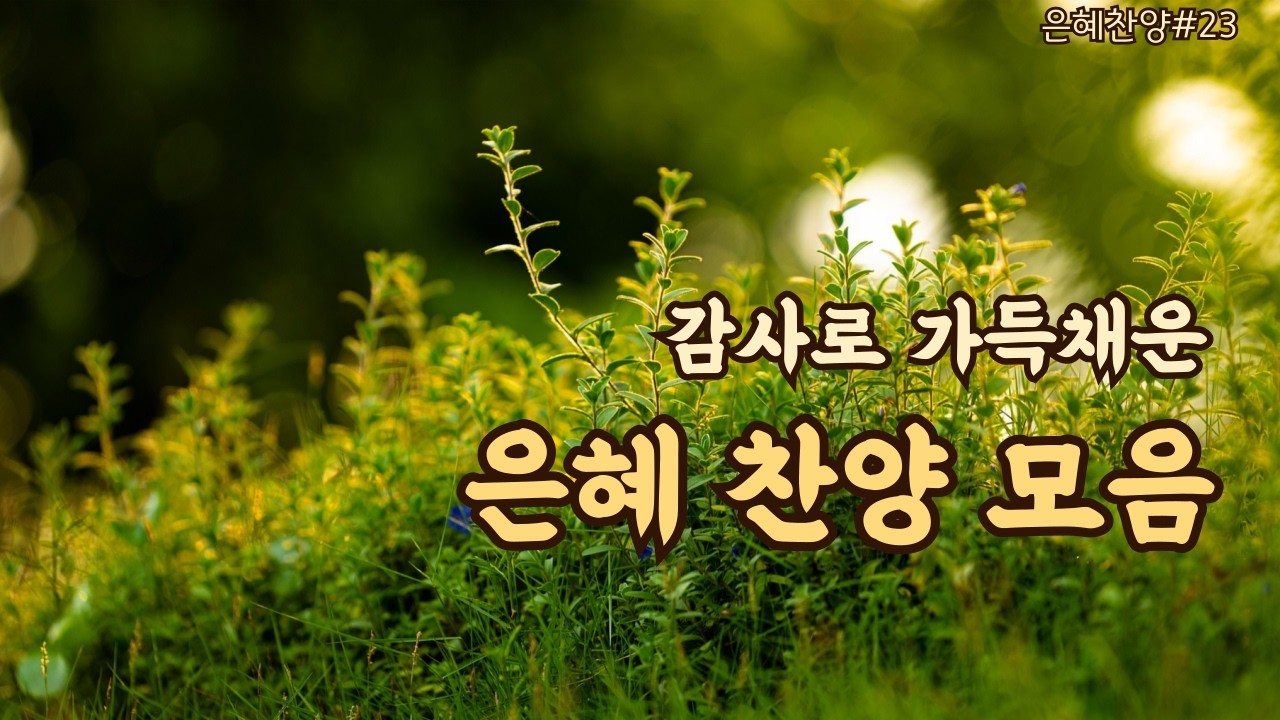 마음을 위로하는 주일 감사찬양 | 마음이 평안해지는 묵상 찬양