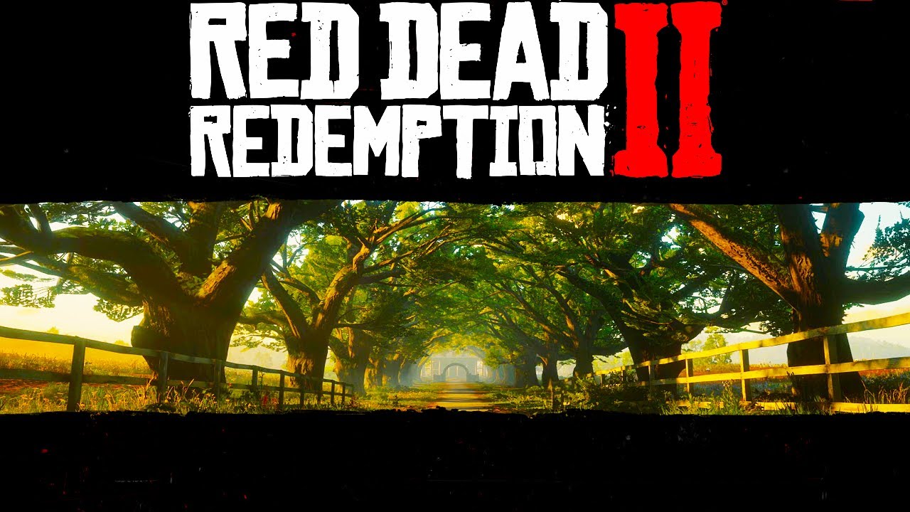 Red Dead Redemption 2 - First Playthrough Part 8
