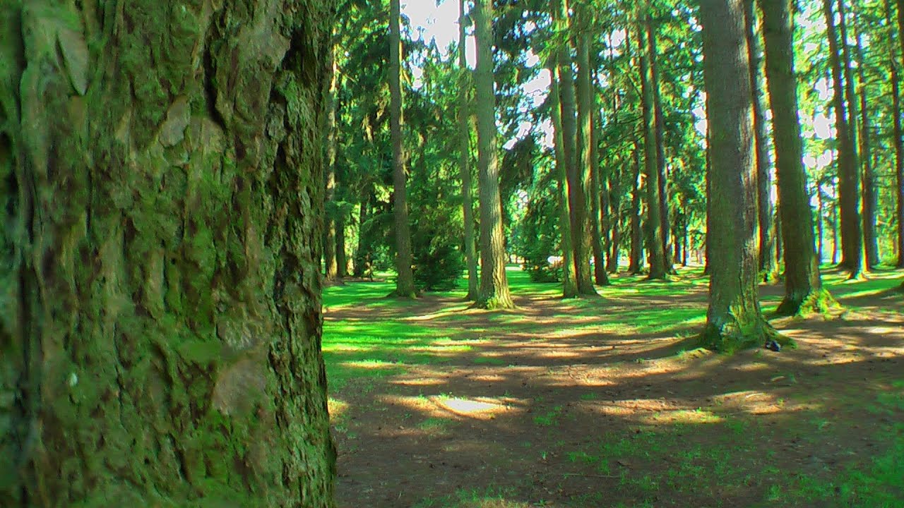 Crossroads Park in Bellevue, Wa