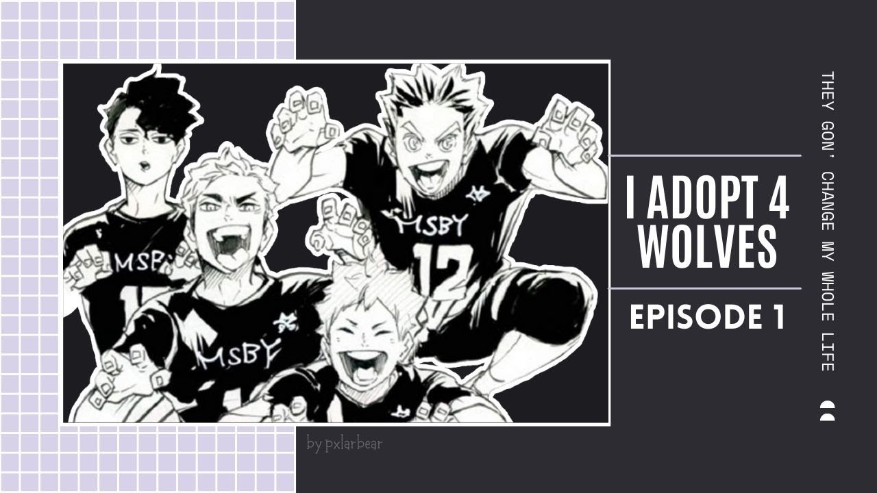 [part 1] MSBY!Haikyuu x y/n | I adopt 4 wolves