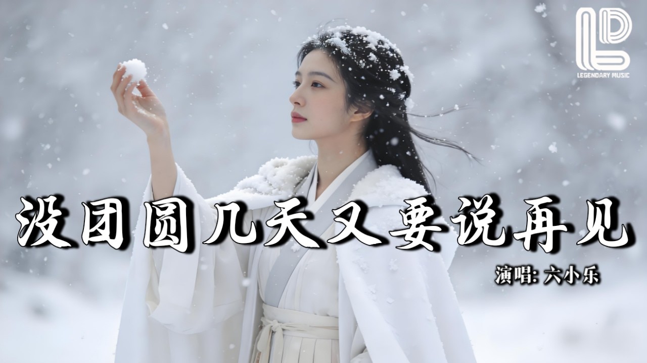 六小乐 - 没团圆几天又要说再见 (抖音热播DJ版) Mei Tuan Yuan Ji Tian You Yao Shuo Zai Jian『忙碌一年难得换来，几日的团圆』『动态歌词MV』