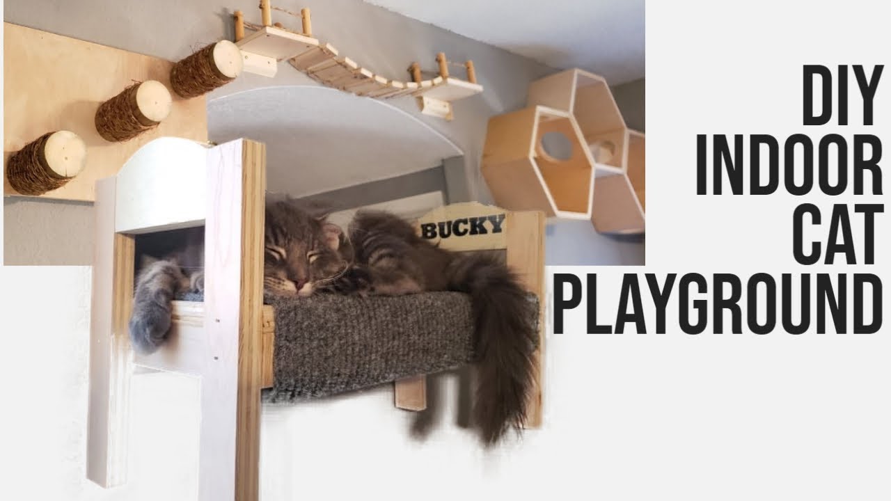 Идеальная самодельная игровая площадка для кошек, которую нельзя пропустить