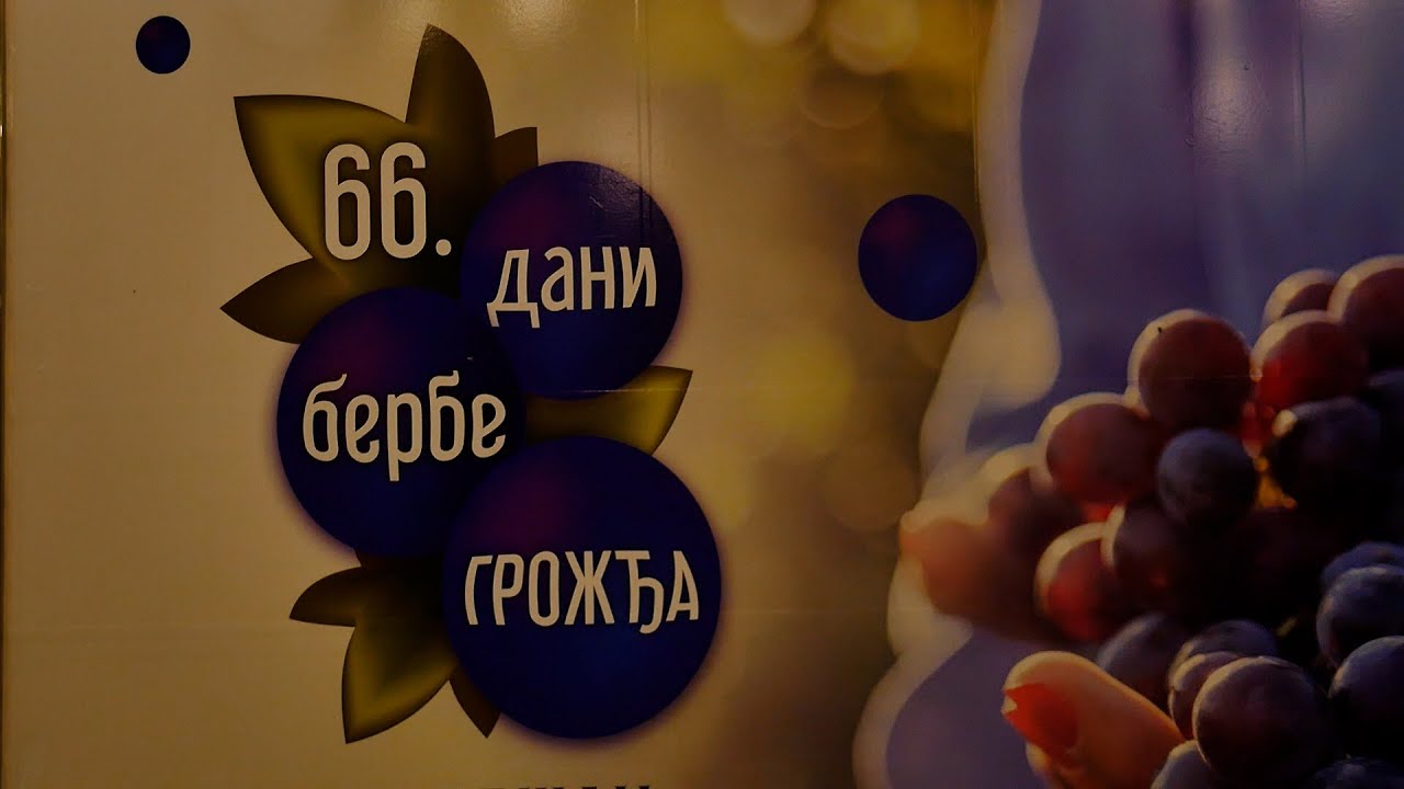 Vršačka berba 2024