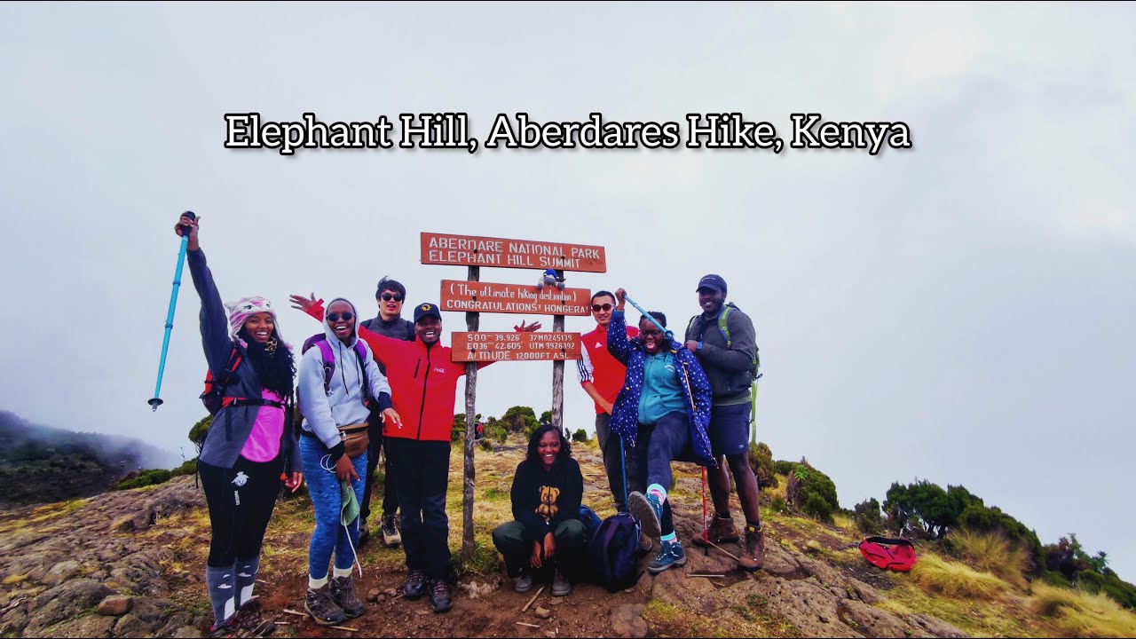 Hiking through Elephant Hill, Aberdares without my raingear 😁