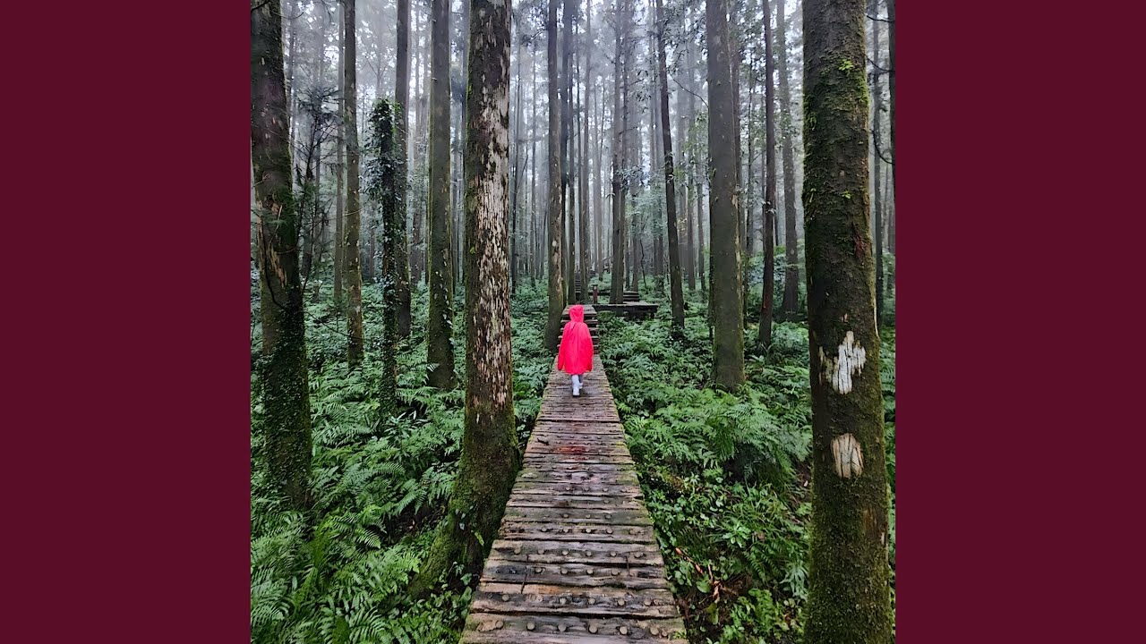 CLOUDFOREST