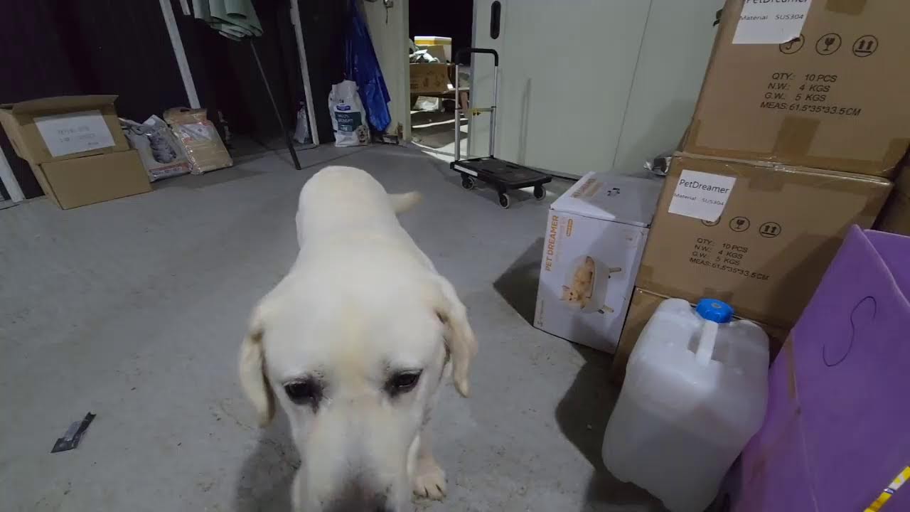 공사는 언제 마무리ㅜㅜ이사는 또 언제할지...숨이 막힌다...