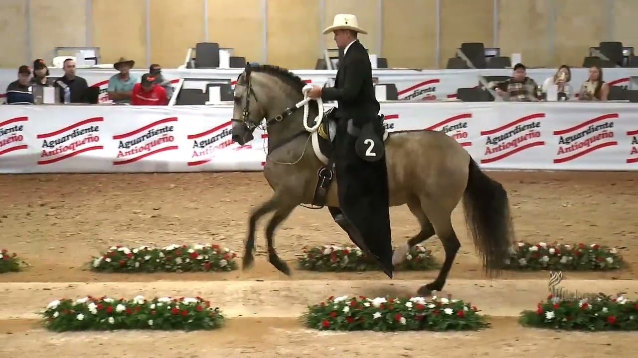 HERMANA LUNA DE VILLA DALIA, GRAN CAMPEONA TROTE Y GALOPE EXPO ASOCABA GRADO B 2022