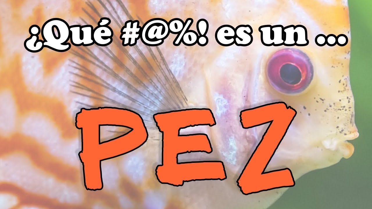 ¿Qué #@%! es un PEZ?