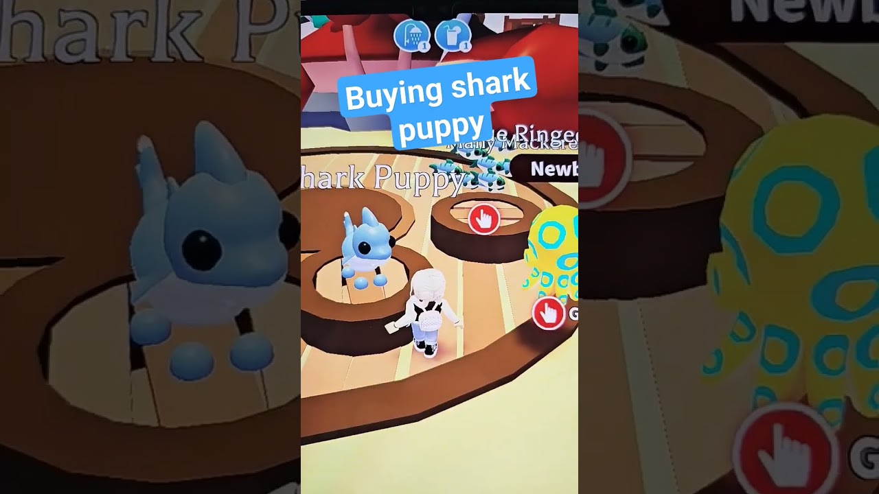 buying a new pet from the summer fest.. ADOPT ME..  roblox!