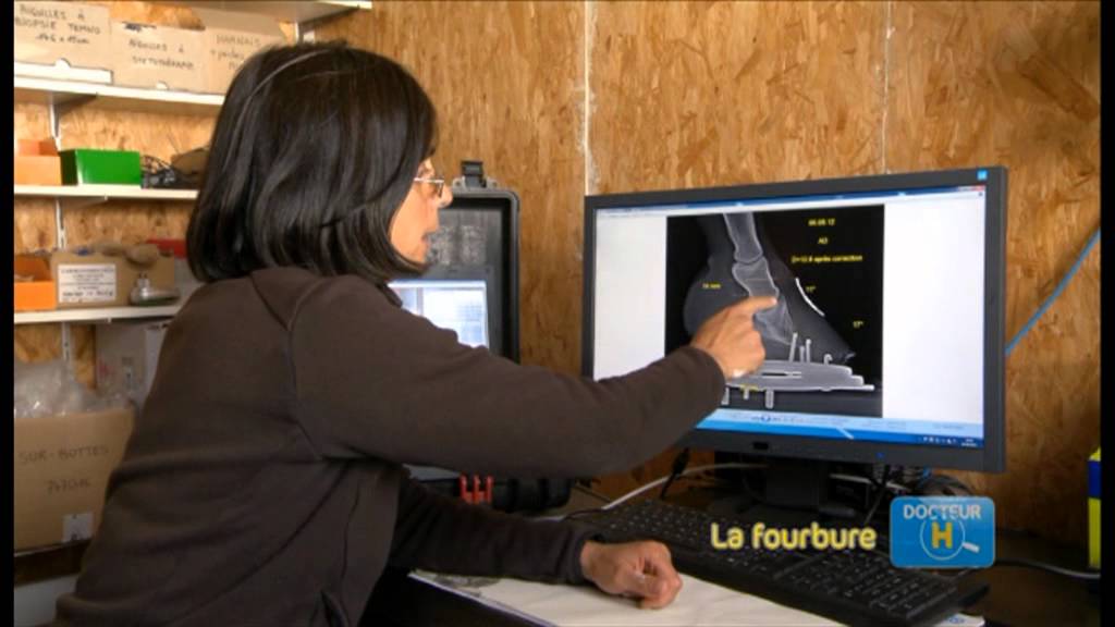 Docteur H   La fourbure