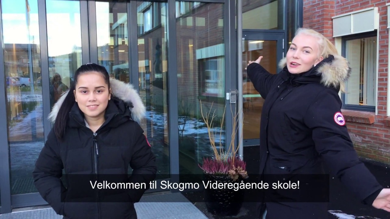 skogmo reklamefilm