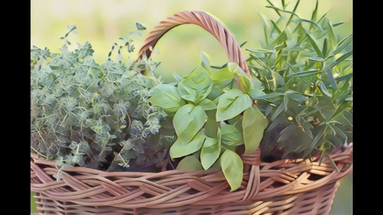 Easy To Find Ingredients