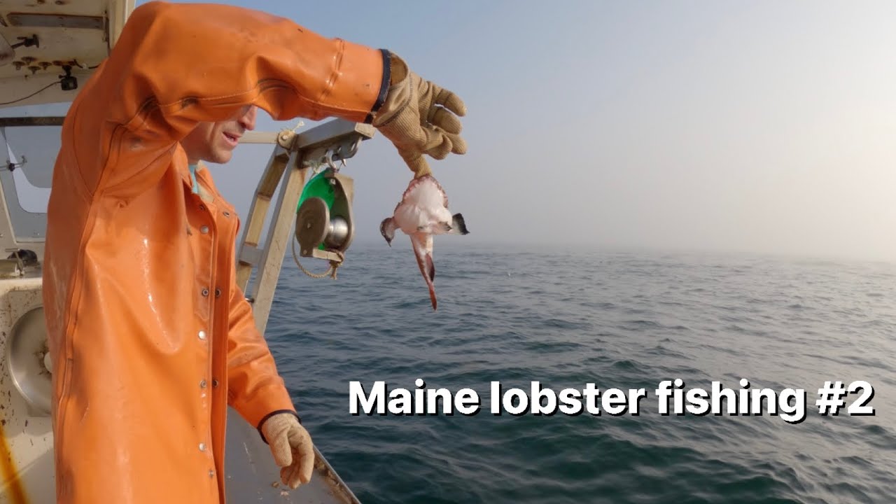 Maine lobster fishing #2