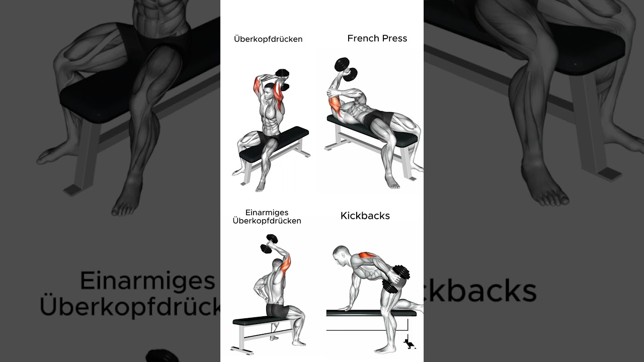 Probiere diese Trizeps &Uuml;bungen mit Kurzhanteln - Trizepstraining #trizeps #muskelaufbautipps