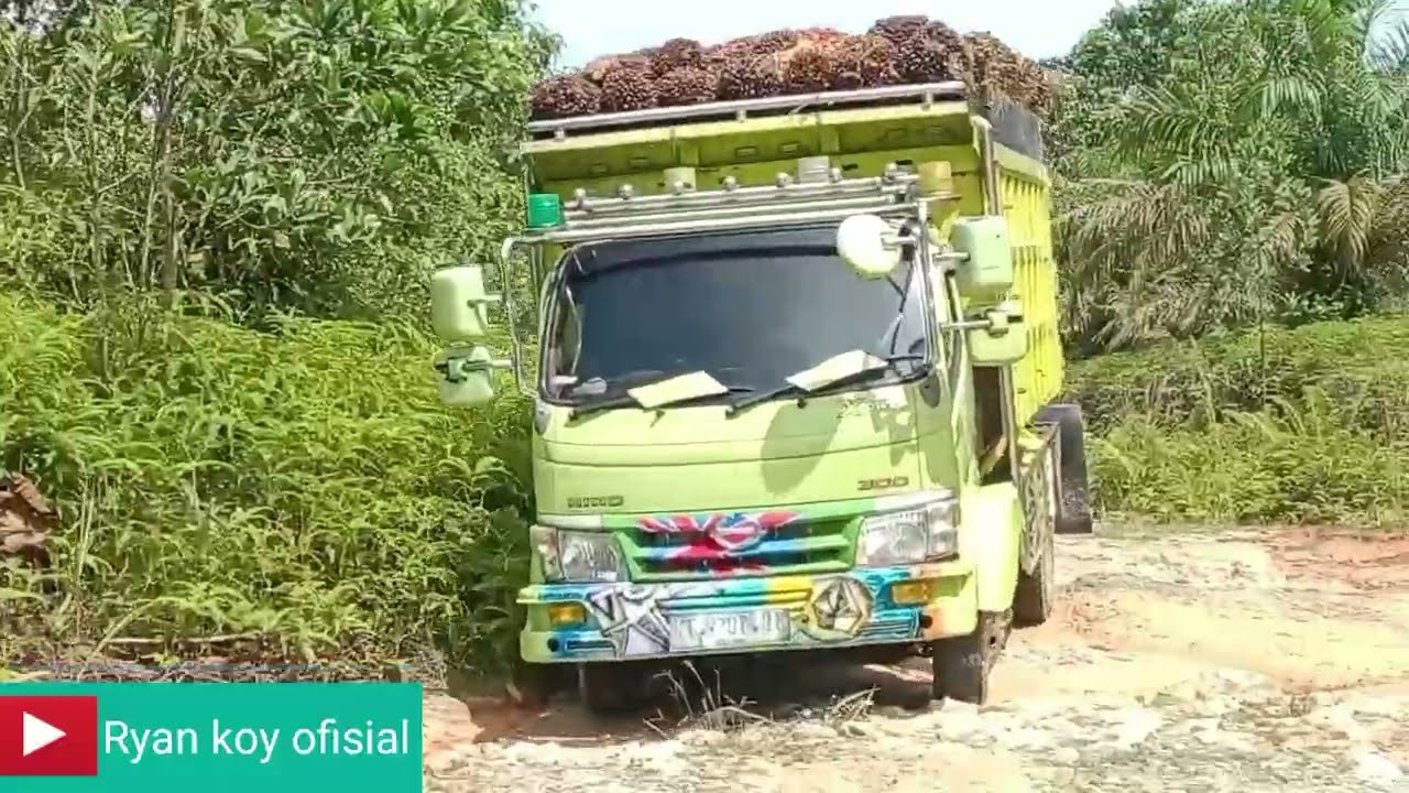 Si hijau 💚 muat sawit , oleng 