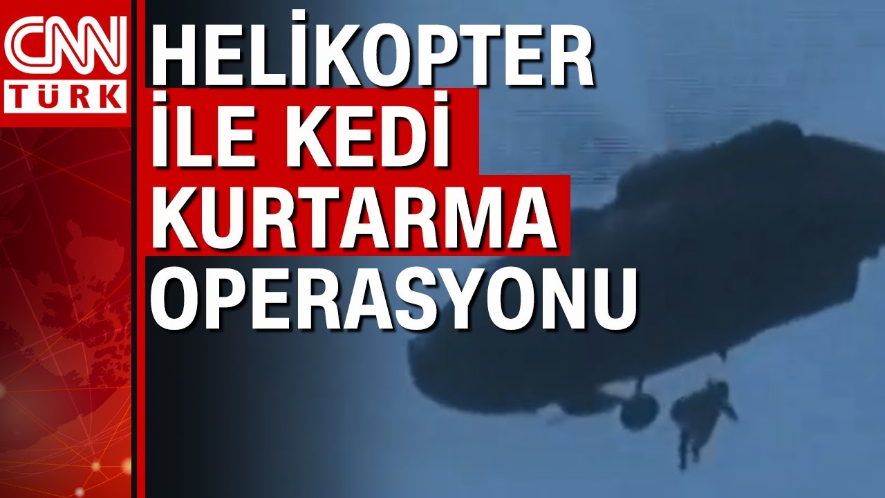Galeria yıkımına ara verildi, 2 kedi askeri helikopter yardımıyla kurtarılmaya çalışıldı