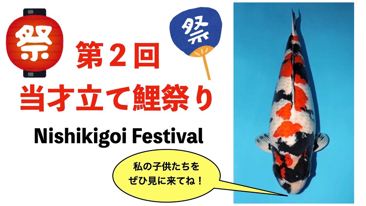 錦鯉販売　川合養殖場　第2回当才立て鯉祭り　〜Nishikigoi Festibal〜