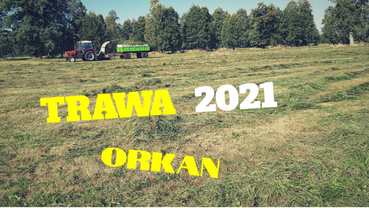 🔥Trawa 2021🔥 /Orkan w natarciu\ !1 bieg i gaz! ✔zetory w akcji ✔