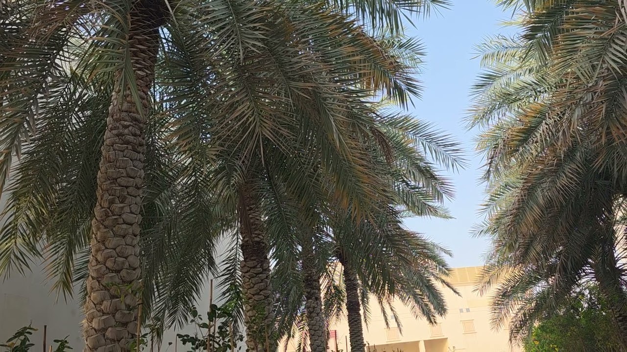 Enjoy Nature 