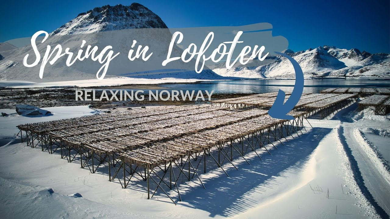RELAXING NORWAY - Western Lofoten in April