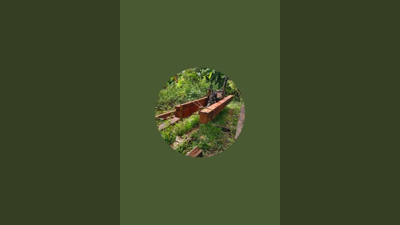 peoses penggergajian kayu kebutuhan pasar lokal . woodworking