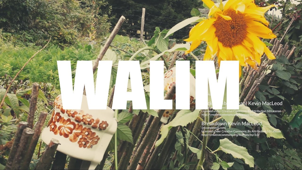 Walim