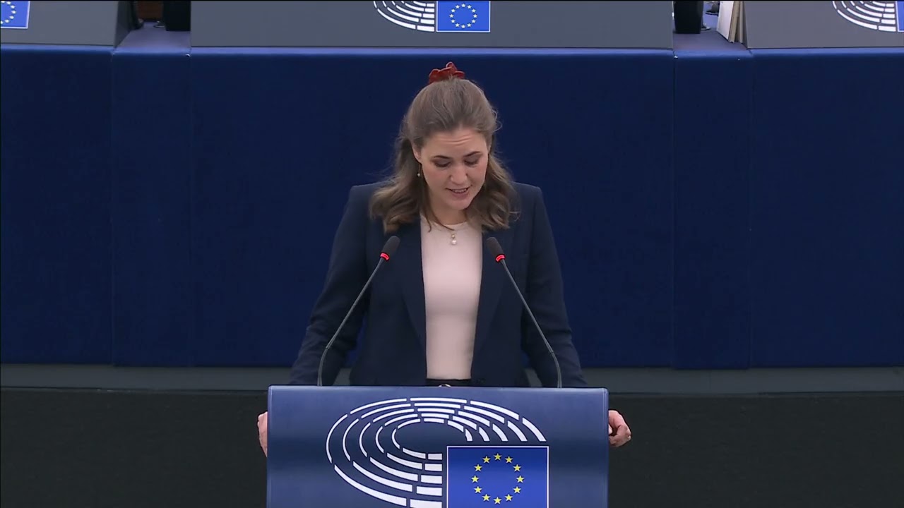 ЕС против США: свобода СМИ и энергетическое будущее | Мари Бьерр и Дэн Йоргенсен | Европа | Амара...