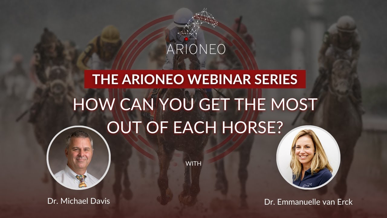 WEBINAR - How to get the most out of each horse? Common mistakes and how to avoid them 📊