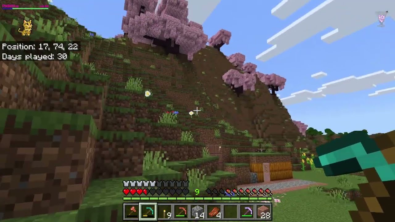 Minecrafting the peacefulness into existence