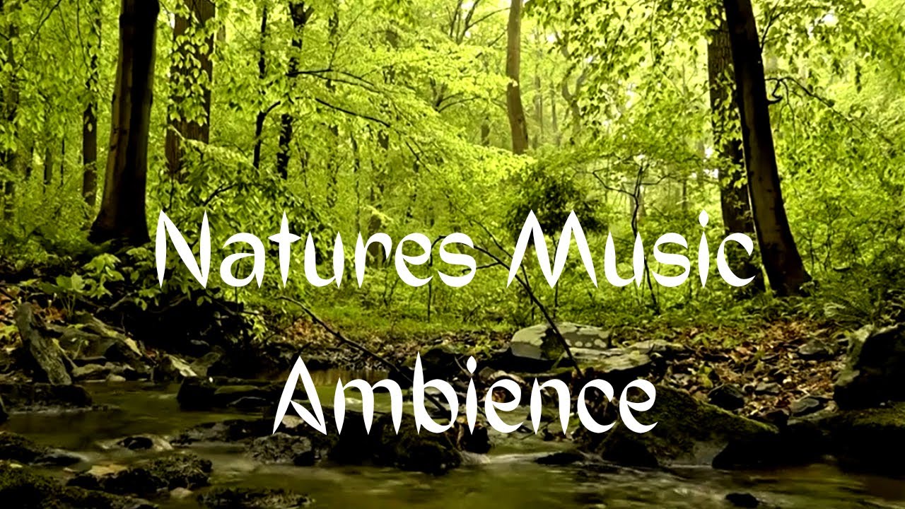 Relaxing Music - Natures Music Ambience - Waterfall Sounds,Forest Sounds,Singing Birds,  Meditation,