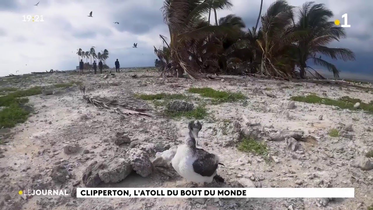 Clipperton, l'atoll du bout du monde.