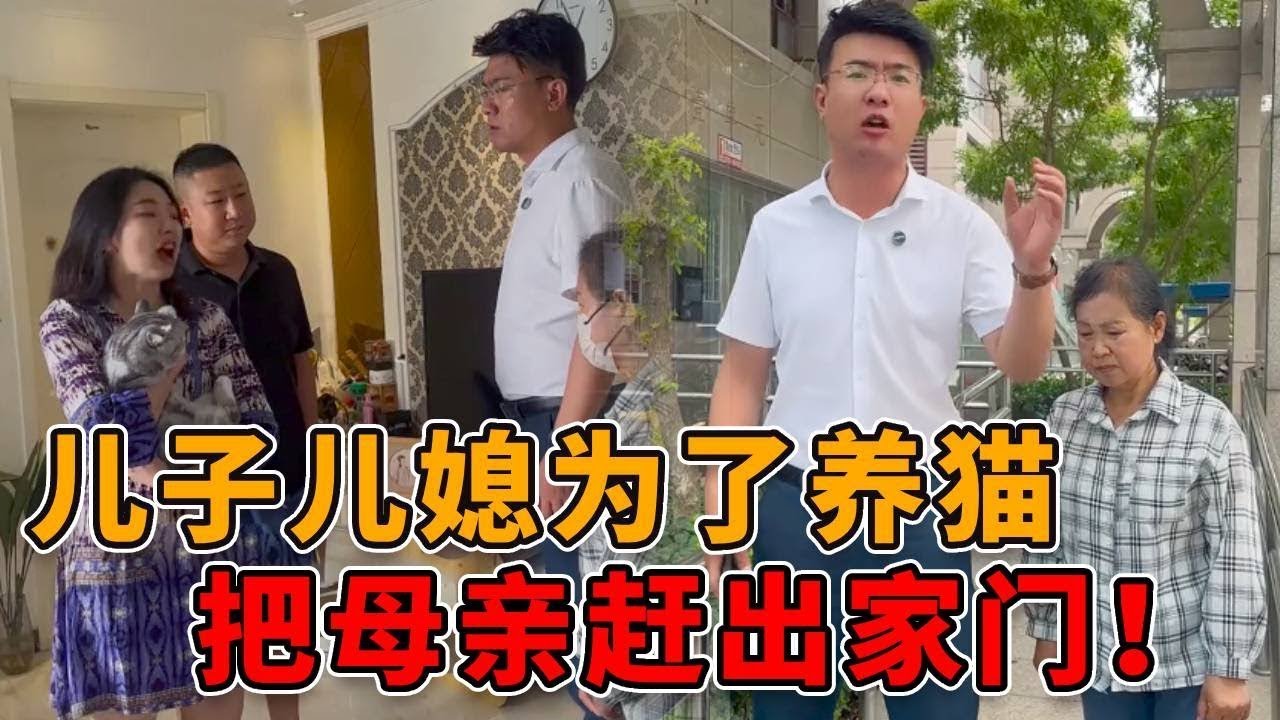 儿子儿媳为了一只猫，将重病的母亲赶出家门！还霸占老人的房产！ #真实 #人性 #法律 #社会 #正能量