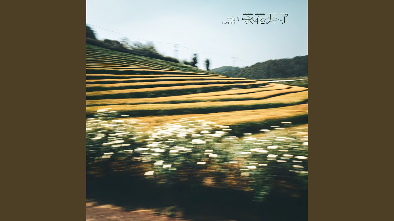 茶花开了 (氛围版)