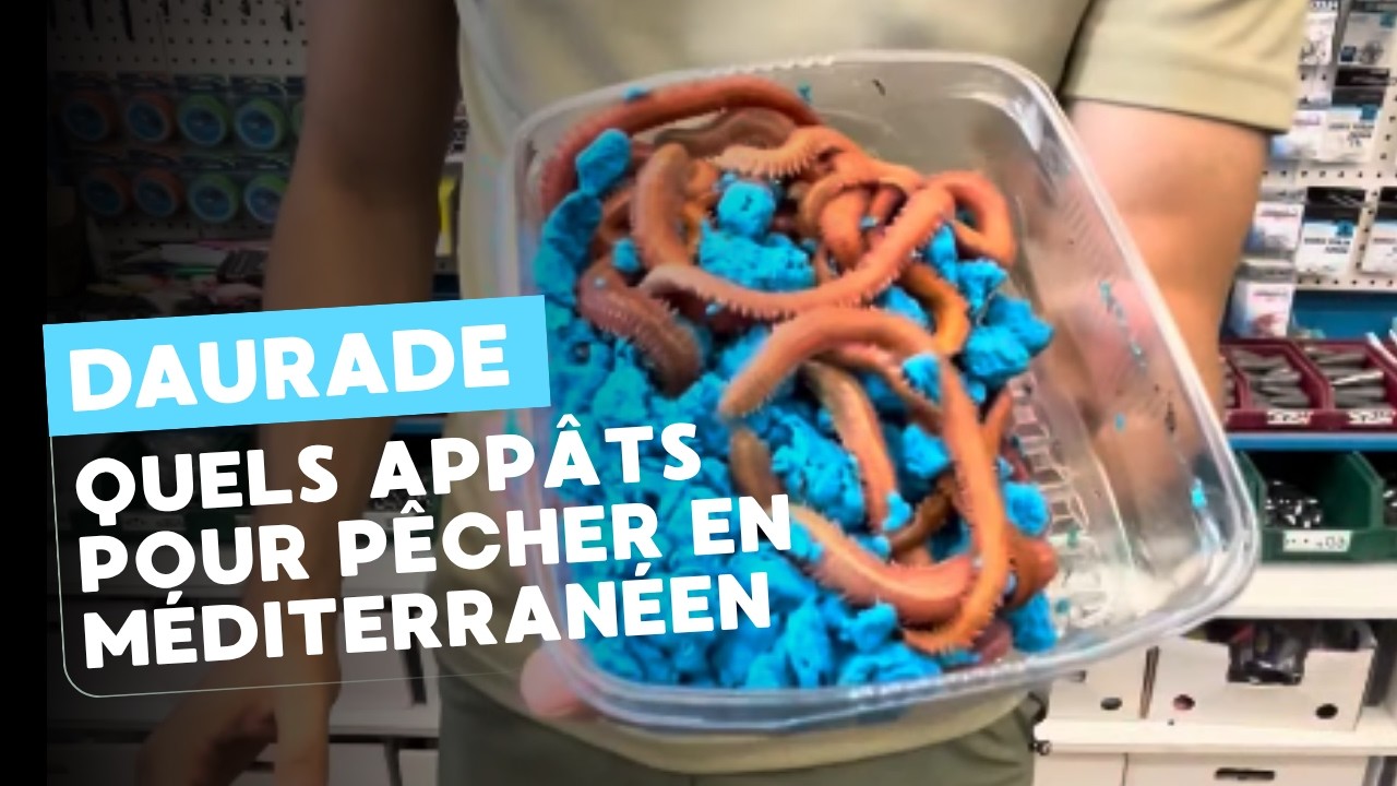2️⃣ Quels app&acirc;ts pour p&ecirc;cher la daurade en m&eacute;diterran&eacute;en