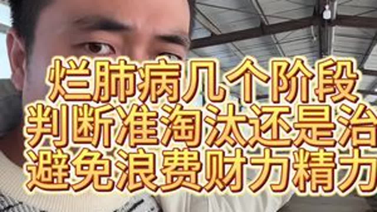 #烂肺病 #传染性胸膜肺炎 #羊传胸 #养羊人 #养羊技术分享