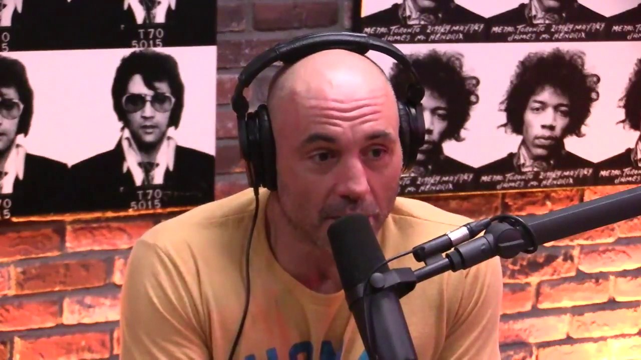 Joe Rogan - Shirley Manson on the Pitfalls of Success