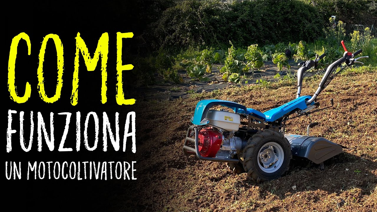 SOLO PER ADDETTI AL LAVORO | BERTOLINI 413S