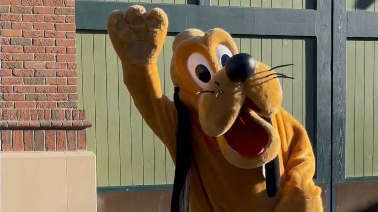 Disney stars shine bright in Hollywood Studios