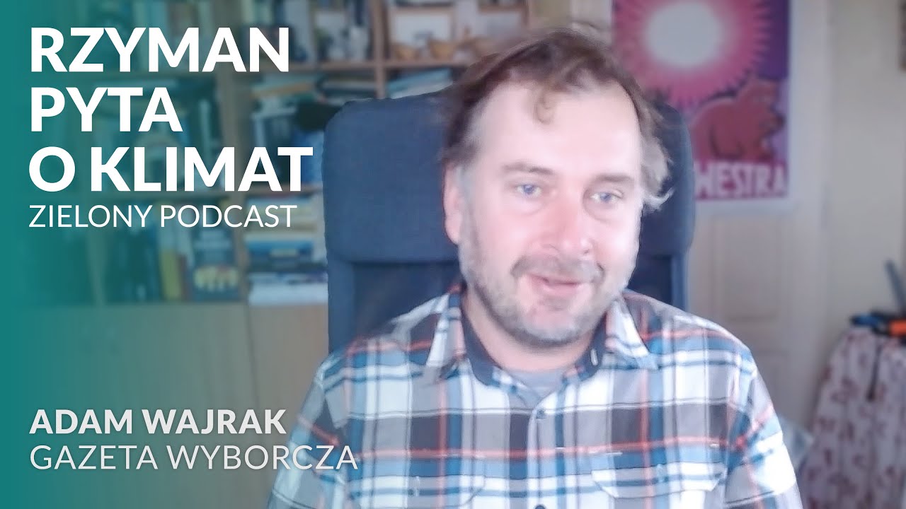 Adam Wajrak o przyszłości polskich lasów, rządzie Tuska i Puszczy Białowieskiej