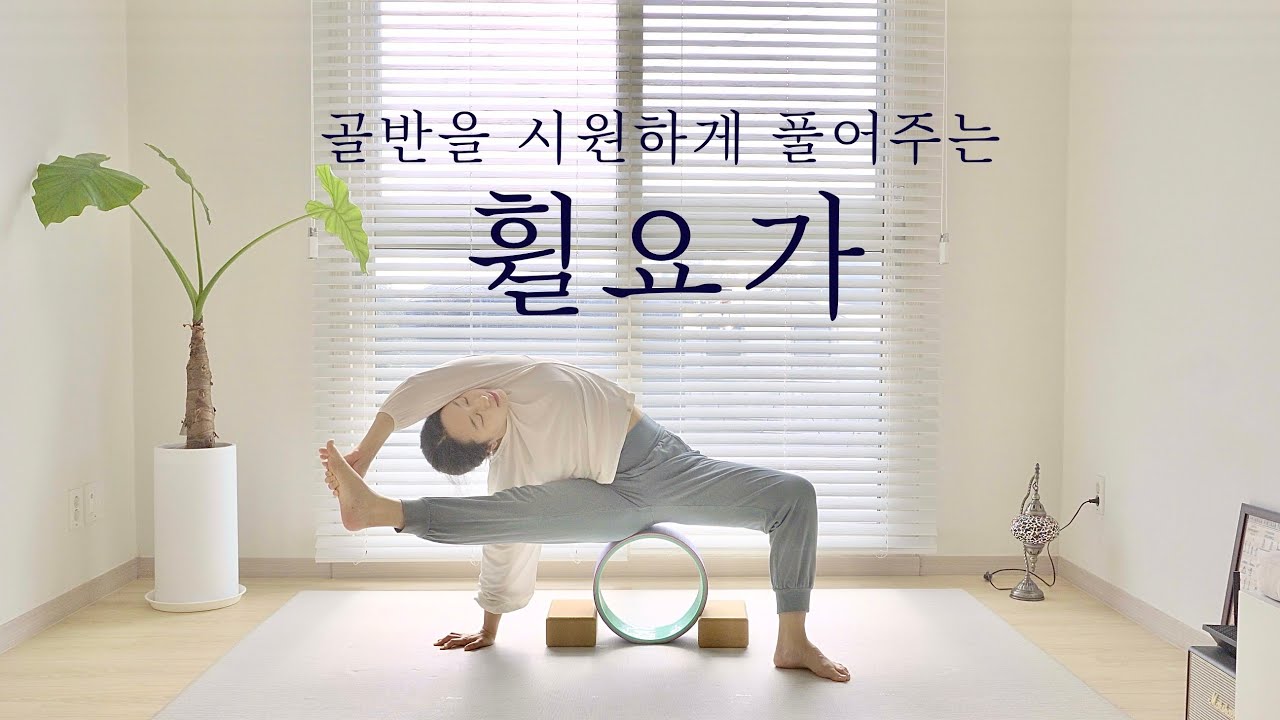 난이도 중급 이상 휠요가 • 골반 시원하게 활짝 • 30분 휠요가