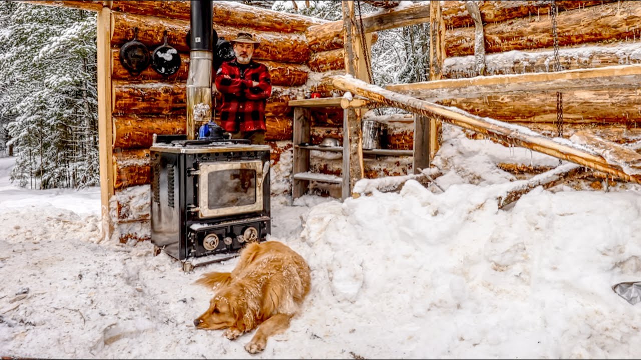 Top of the Wall! Building an Off Grid Log Cabin Alone in the Wilderness, Ep 11